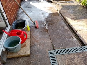 A photo of how I scrub the yard after the puppies have been outside.